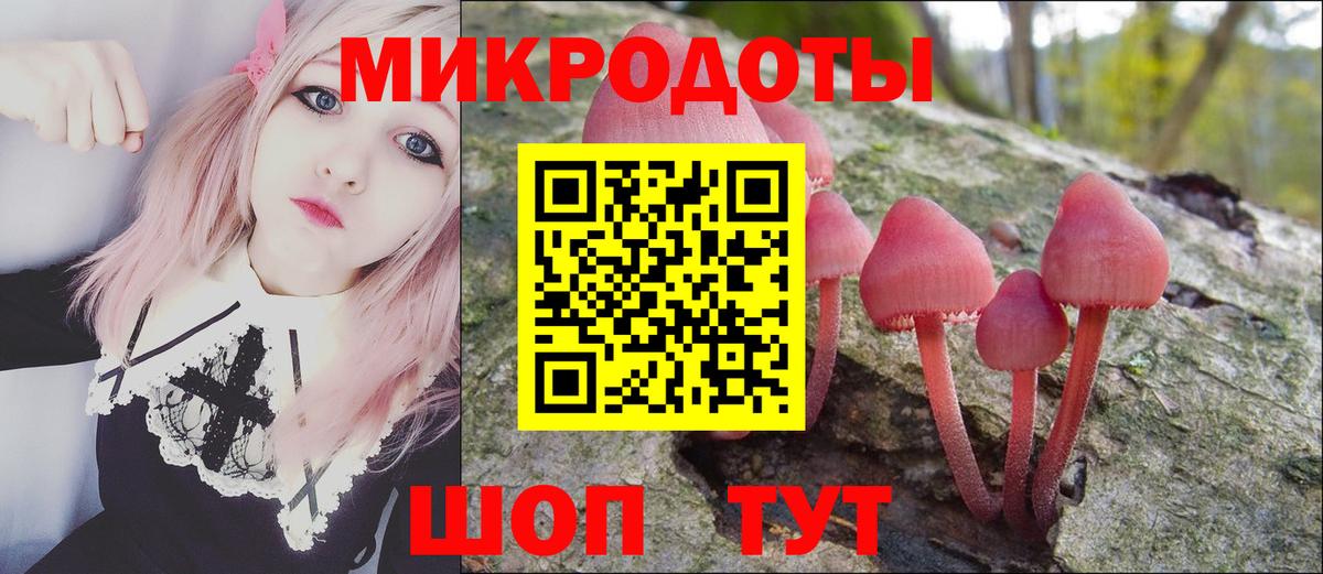 Галлюциногенные грибы мухоморы  Вход с VPN  Грозный  Псилоцибиновые грибы GOLDEN TEACHER 